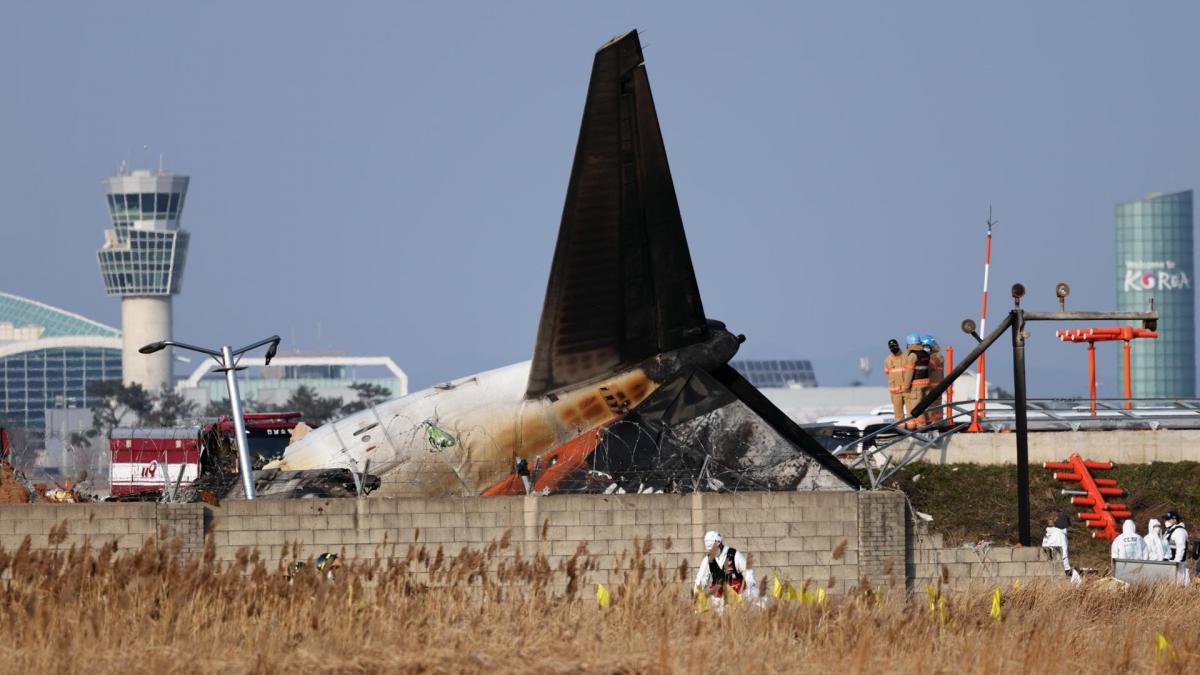 Tragedia en Corea del Sur: 179 muertos tras estrellarse un avión y la presunta causa del terrible accidente