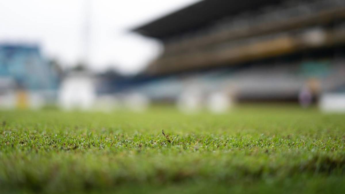 ¿Cómo luce la grama del estadio Morazán? Lo que le han hecho y lo que pasará con el césped en los próximos meses