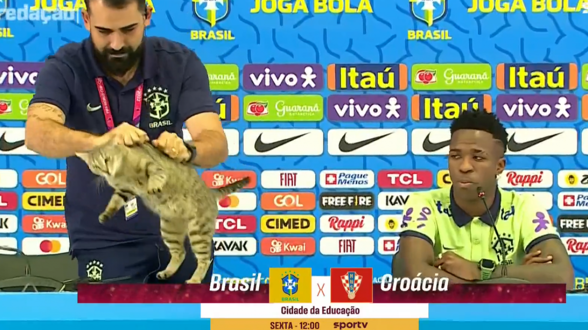 ”La maldición del gato” que persigue a Brasil: qué significa y los fracasos que ha sufrido la ‘Canarinha’ desde la polémica