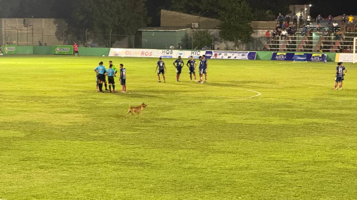 Futbolista de Motagua llora, la belleza en Choloma y el show de 'Firulays': ¡no le podían quitar el balón!