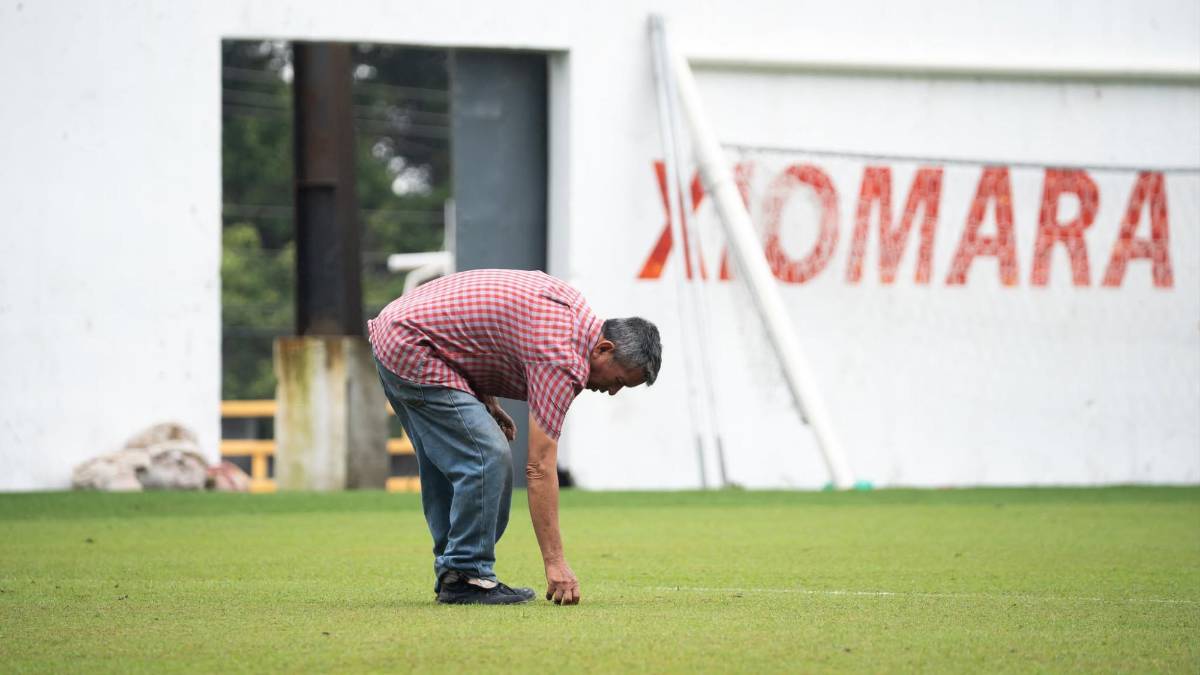 ¿Cómo luce la grama del estadio Morazán? Lo que le han hecho y lo que pasará con el césped en los próximos meses