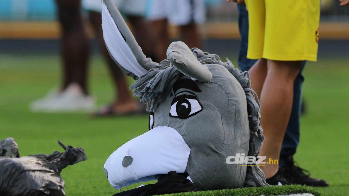 Génesis campeón y es el nuevo inquilino en la Primera División de Honduras: Estadio, jugadores claves y su historia en el fútbol