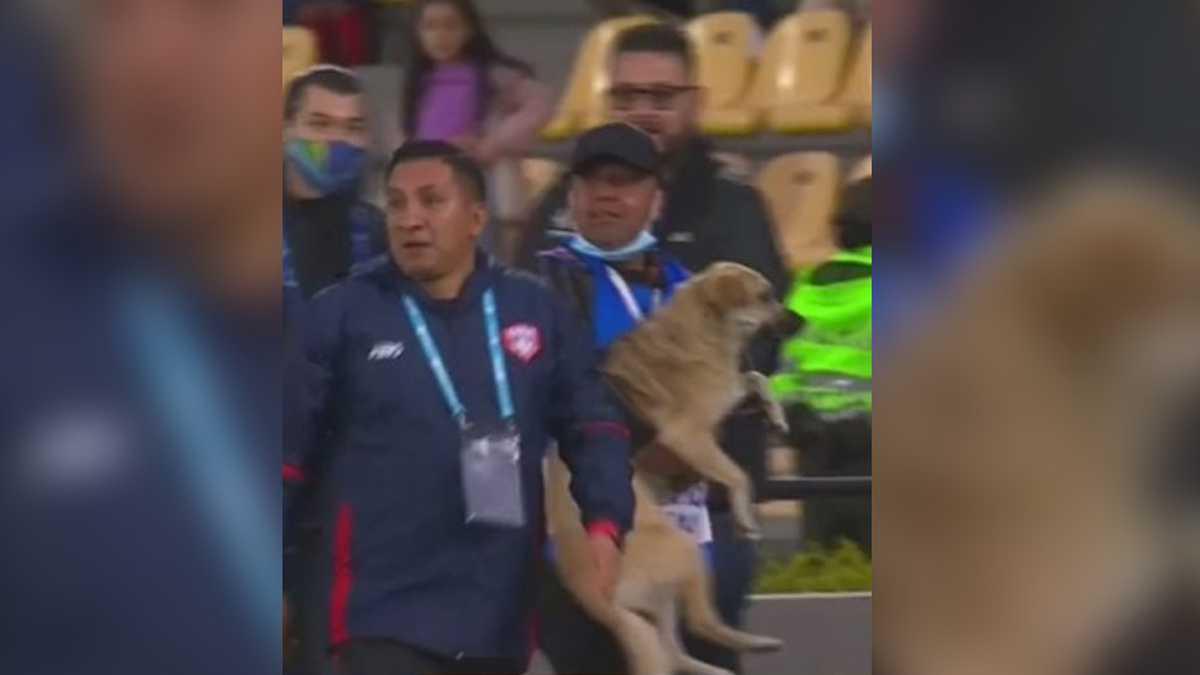 Un integrante del Unión Magdalena logró sacar el perro de la cancha.