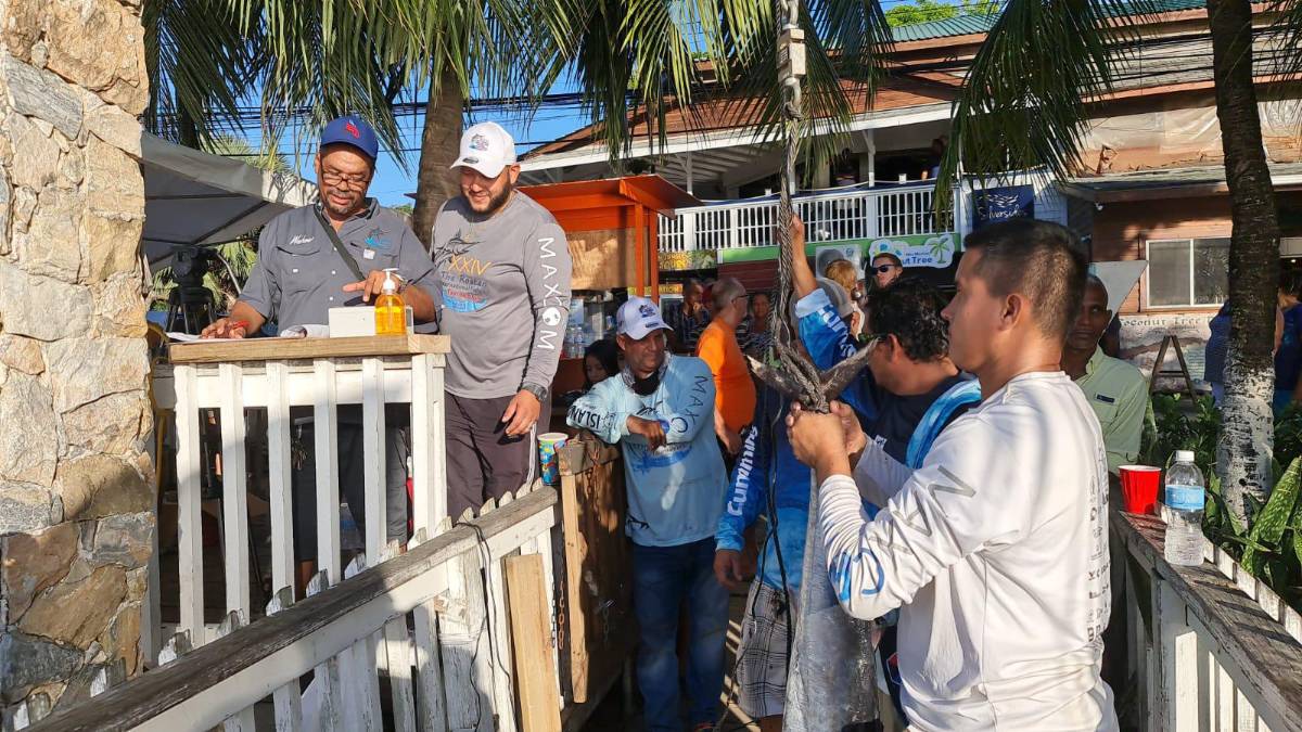 Así fue el primer día del Torneo Internacional de Pesca 2023 en Roatán ¿Qué tipo de peces atraparon?
