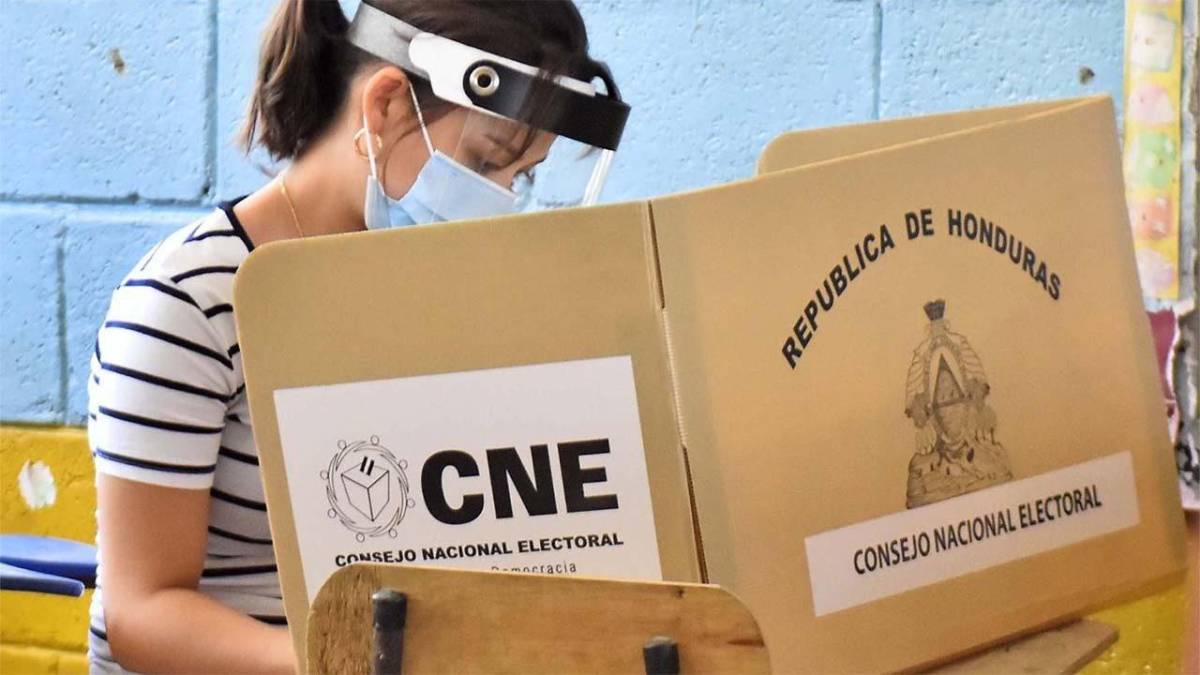 CNE investiga caída de página web de censo electoral y extienden periodo de votación