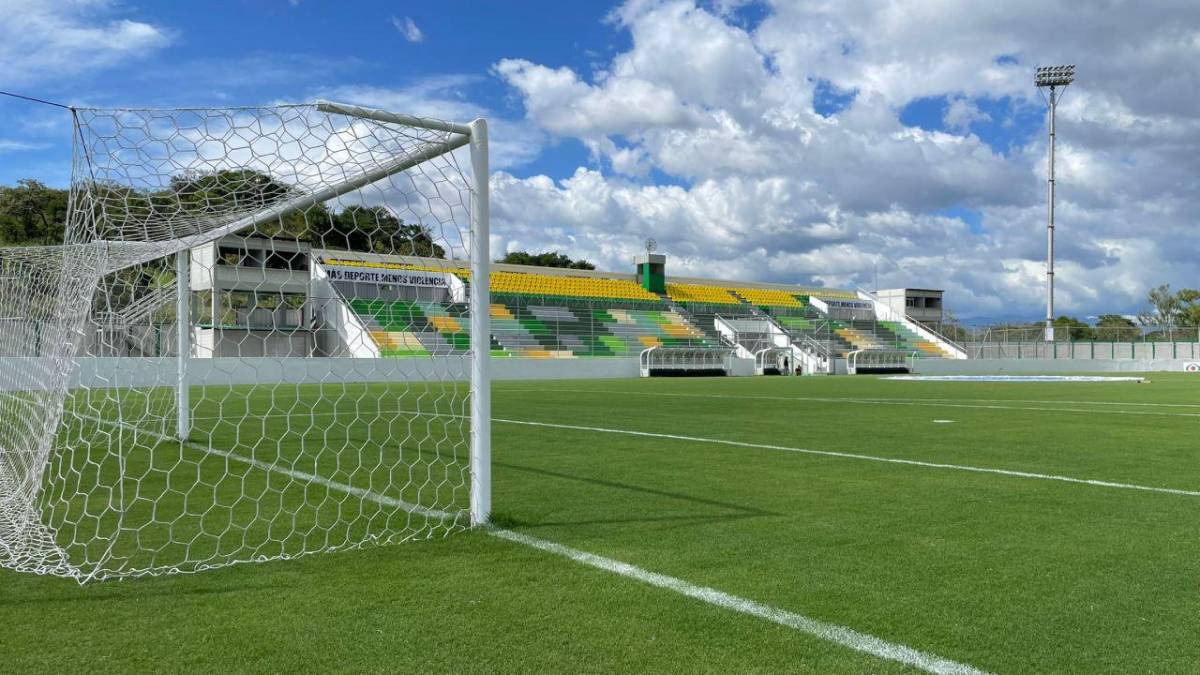 ¿Qué pasa con el Olímpico? Honduras tendrá dos estadios más con grama híbrida; estos son los descartados