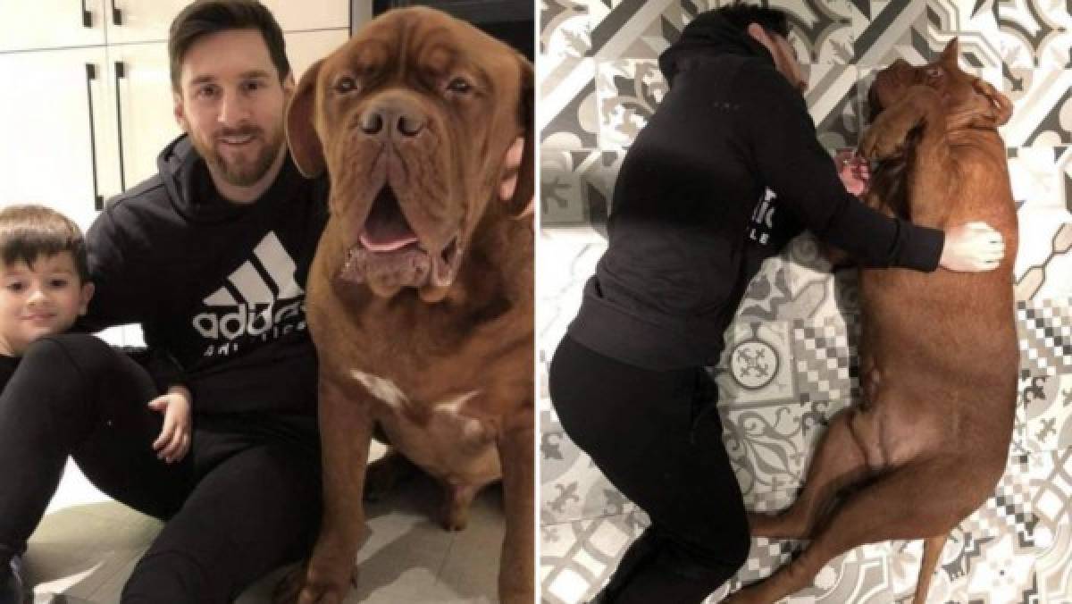 La impresionante transformación de 'Hulk', el perro de Lionel Messi