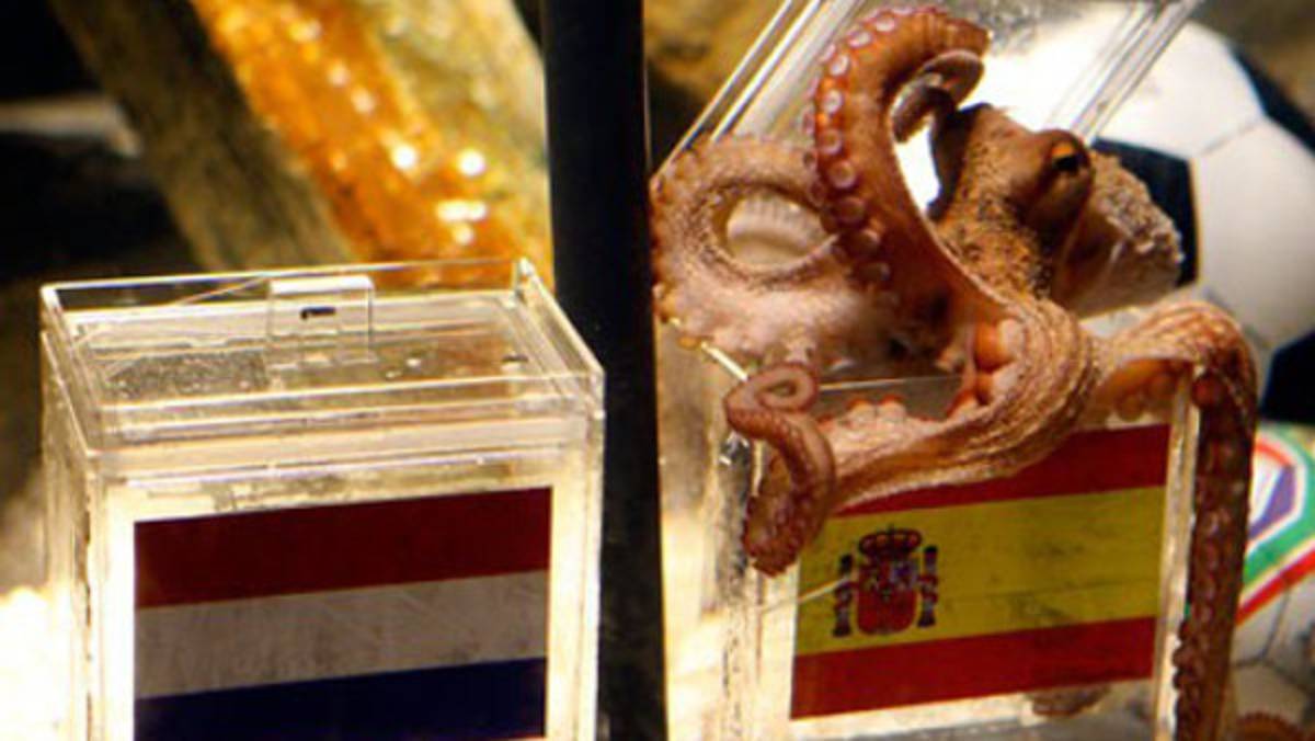 El Pulpo Paul ya tiene sustituto