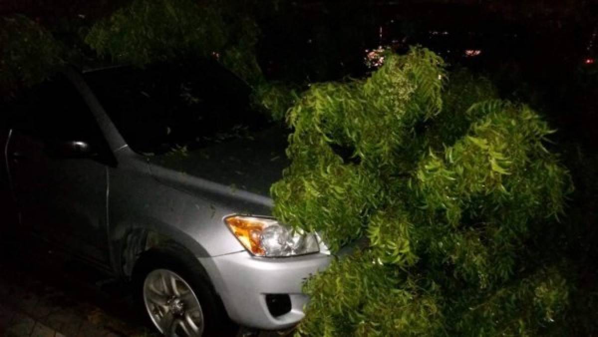 EN FOTOS: Fuerte tormenta eléctrica desata caos en San Pedro Sula