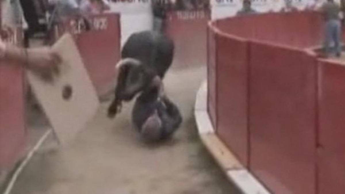 Ayudante de torero murió de una cornada en México