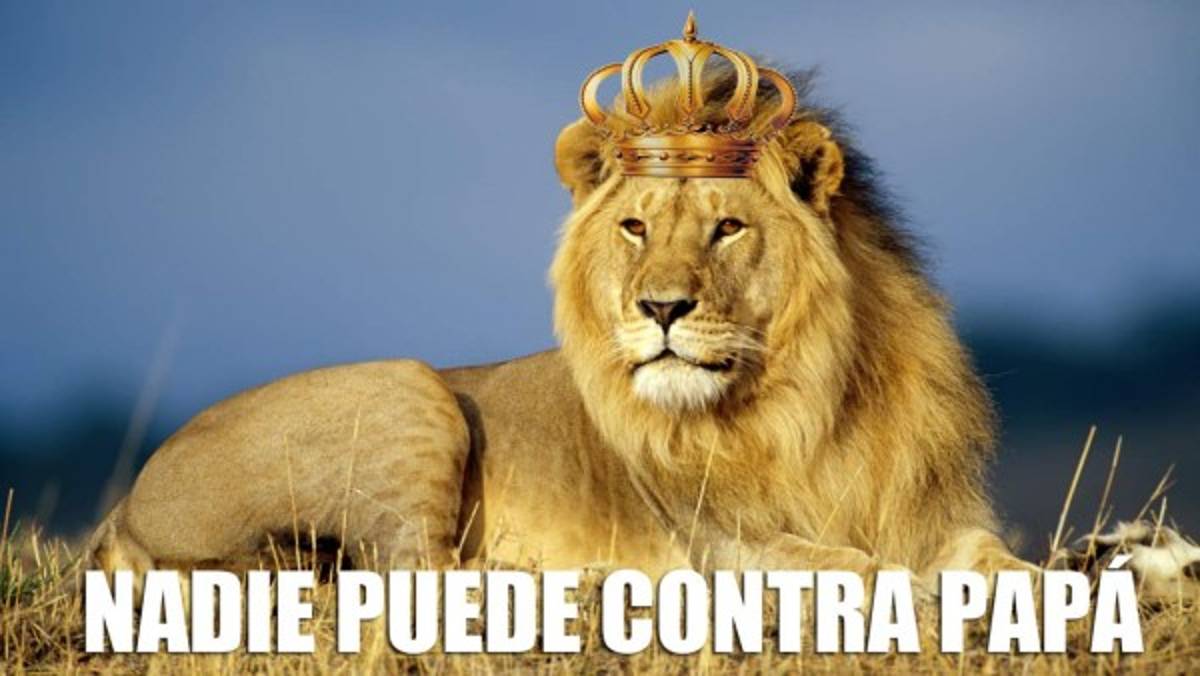 ¡POBRE SOCIAL SOL! Con estos dolorosos memes los despiden de la Liga Nacional