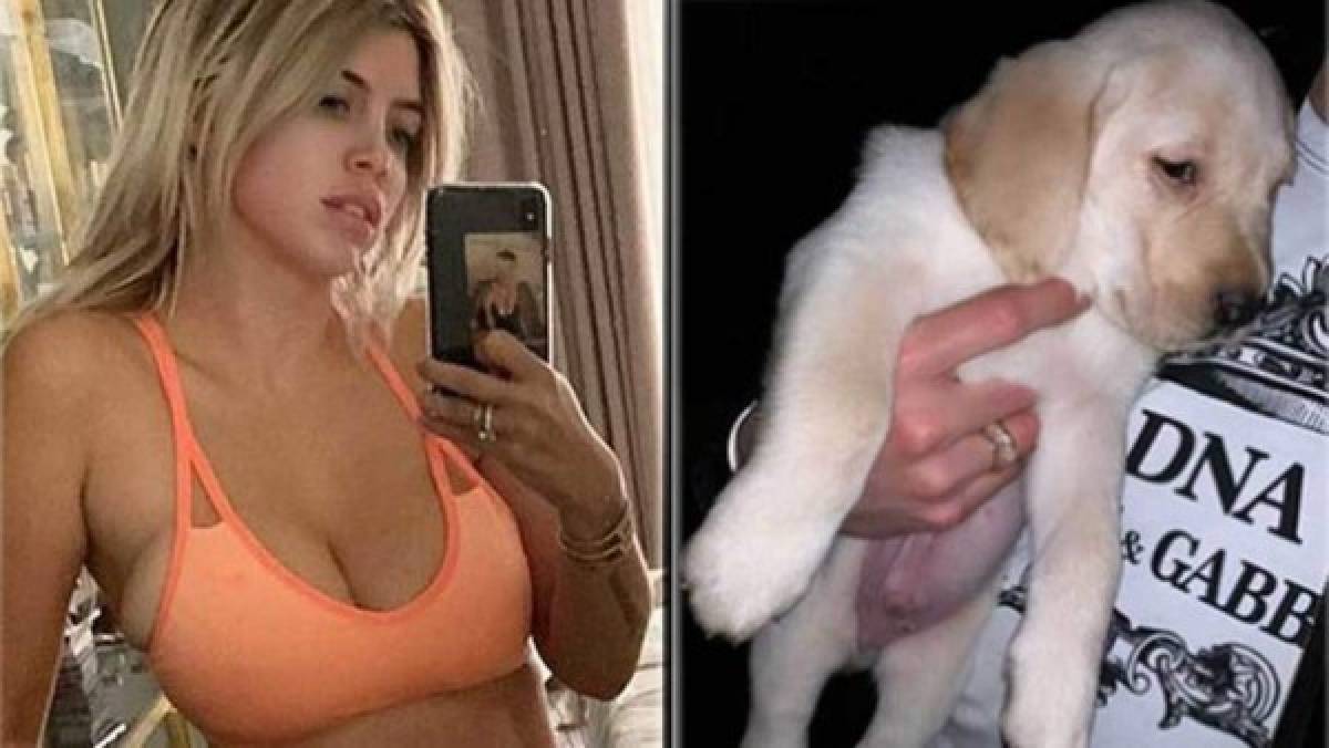 Fiesta, detalles y regalos: Así le celebró la polémica Wanda Nara el cumpleaños a Icardi