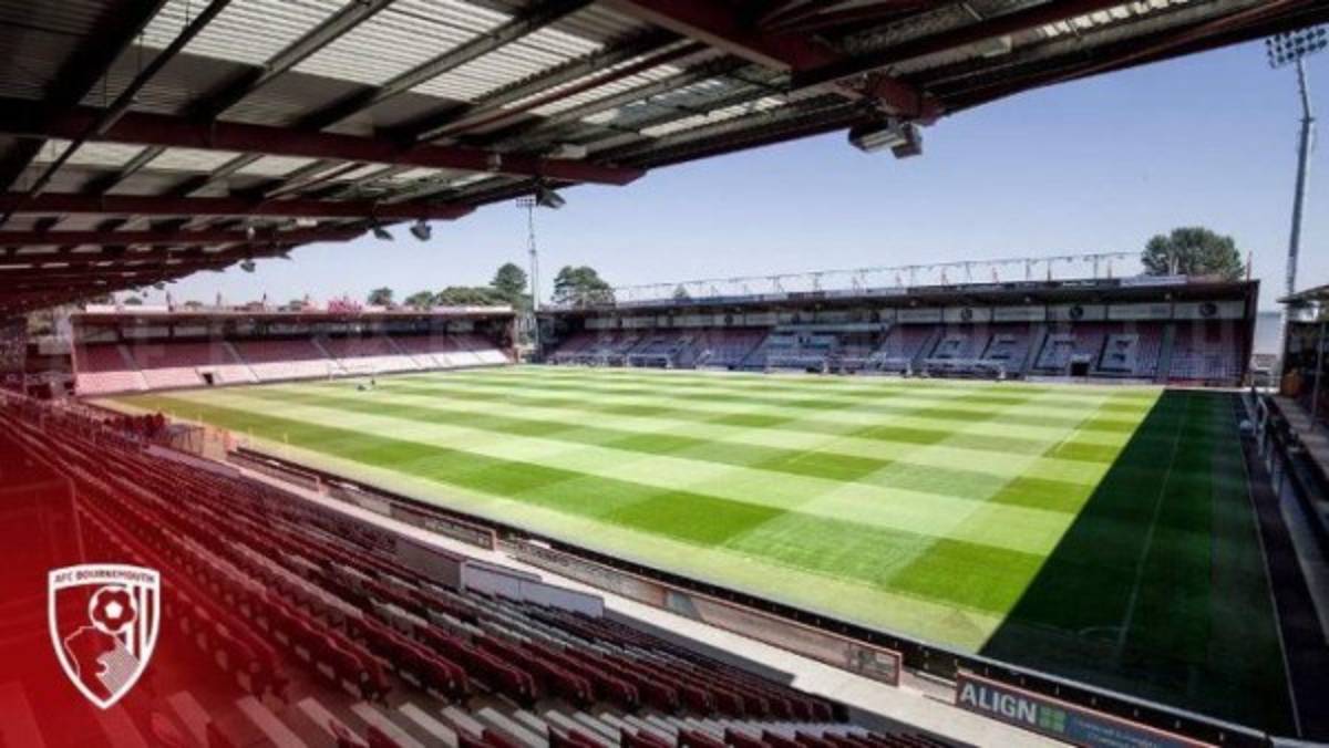 Así sería el Nacional: Los estadios que tienen césped híbrido en el mundo