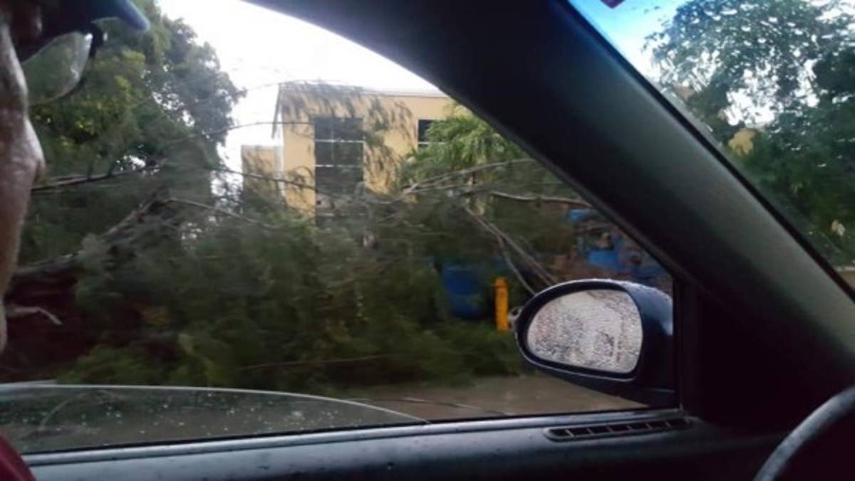 EN FOTOS: Fuerte tormenta eléctrica desata caos en San Pedro Sula
