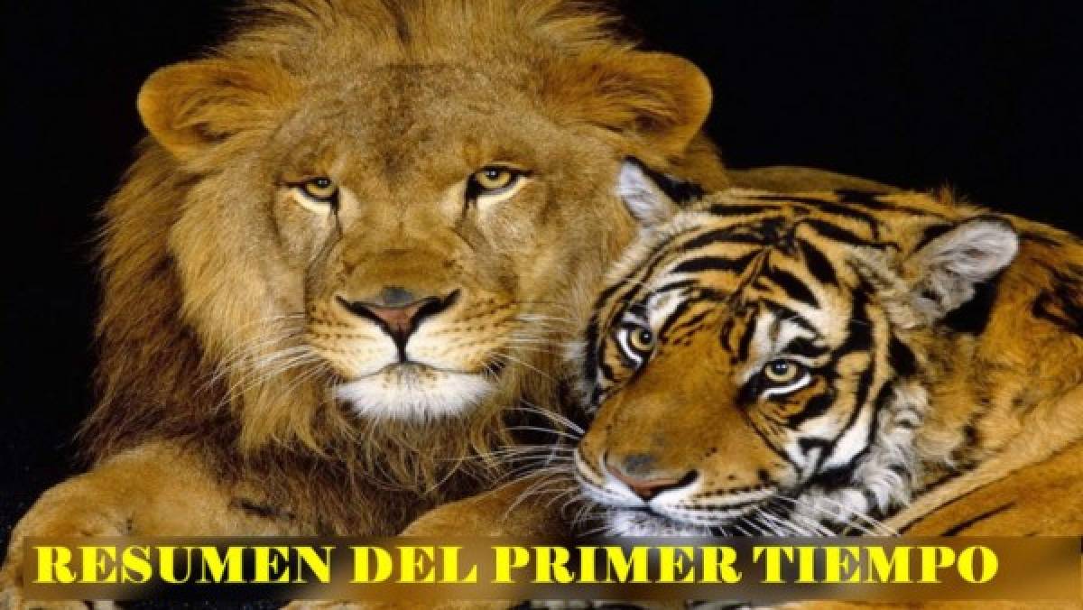 Los memes no perdonan a Tigres, pese a ganar en la final de ida ante León