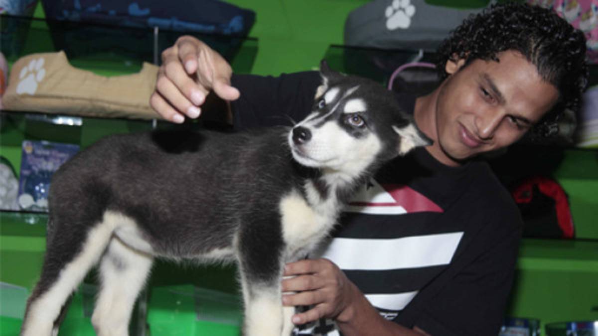 'Admiro a Amado Guevara': Lobo