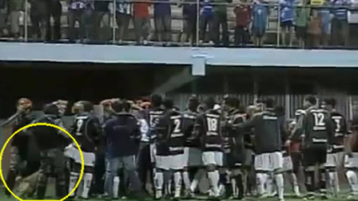 Perro muerde a jugador en pleno partido