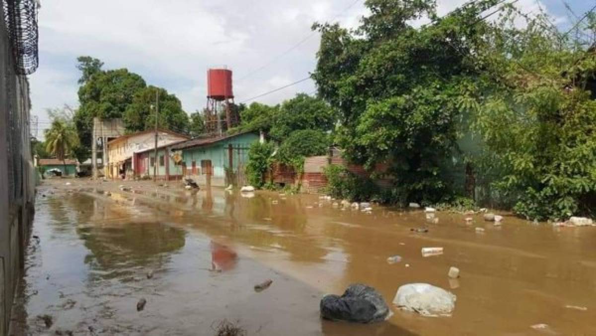 Destrucción y llanto: el calvario que se vive en La Lima tras las fuertes lluvias que dejó Eta e Iota