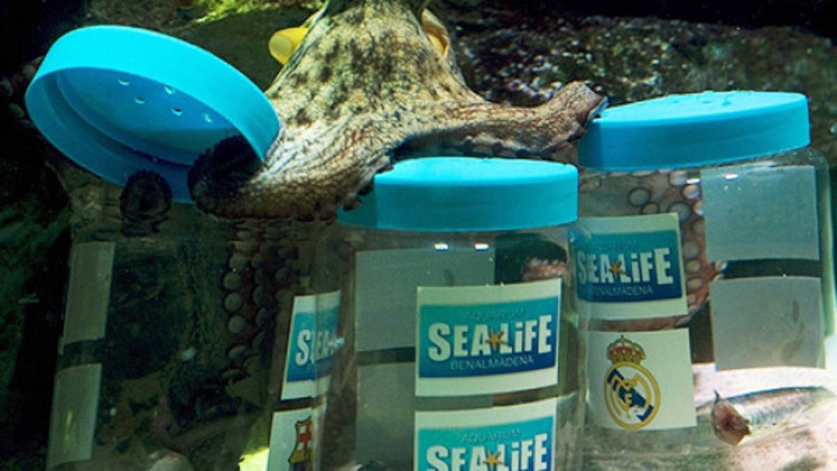 El pulpo Messi da por ganador del clásico al Barcelona