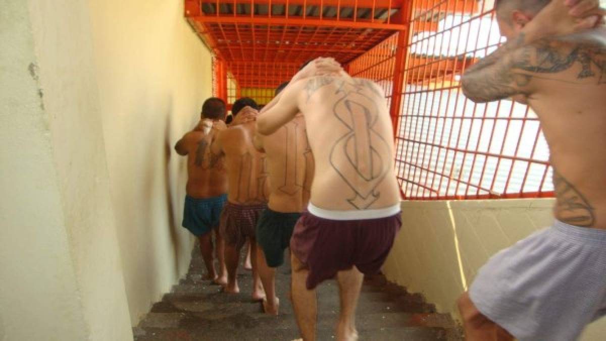 ¡No verán la luz del sol! Pandilleros salvadoreños son aislados en celdas oscuras y calurosas