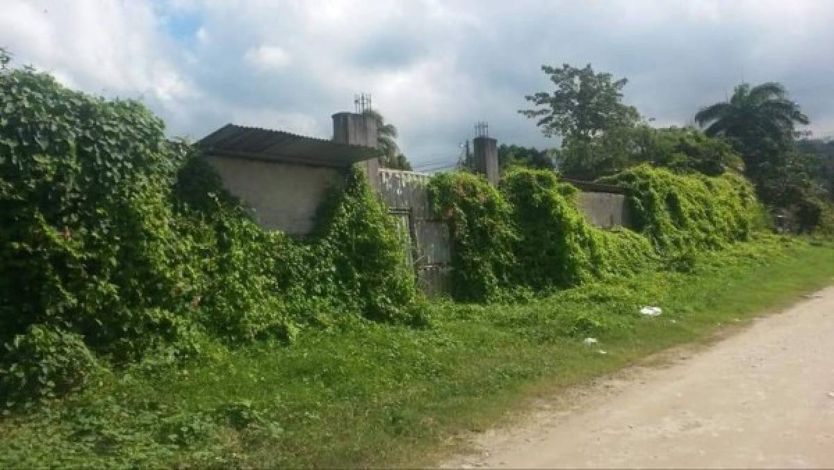 Las deprimentes imágenes del abandono del estadio Alfredo León Gómez en Tela