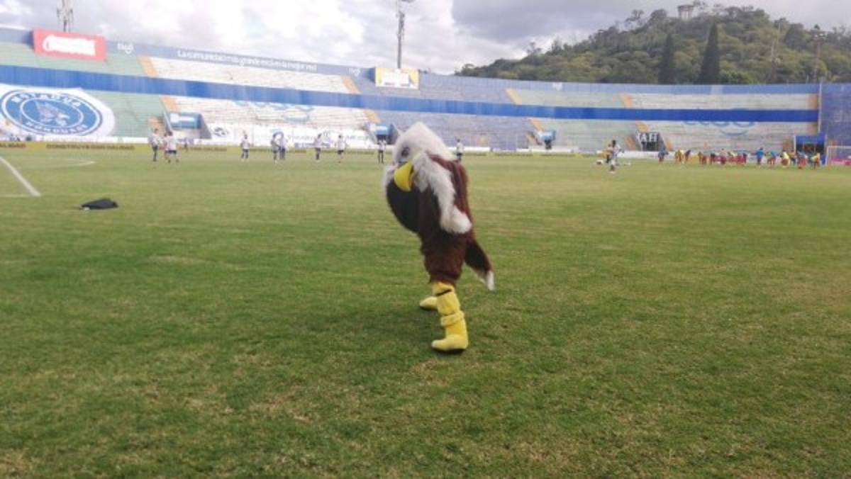 ¡En el olvido! Así de deterioradas se encuentran las graderías del estadio Nacional