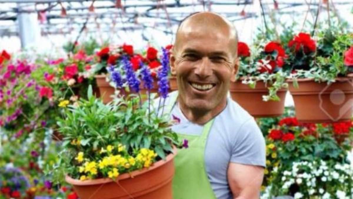 ¡Para morir de risa! Los mejores memes de la salida de Zidane del Real Madrid