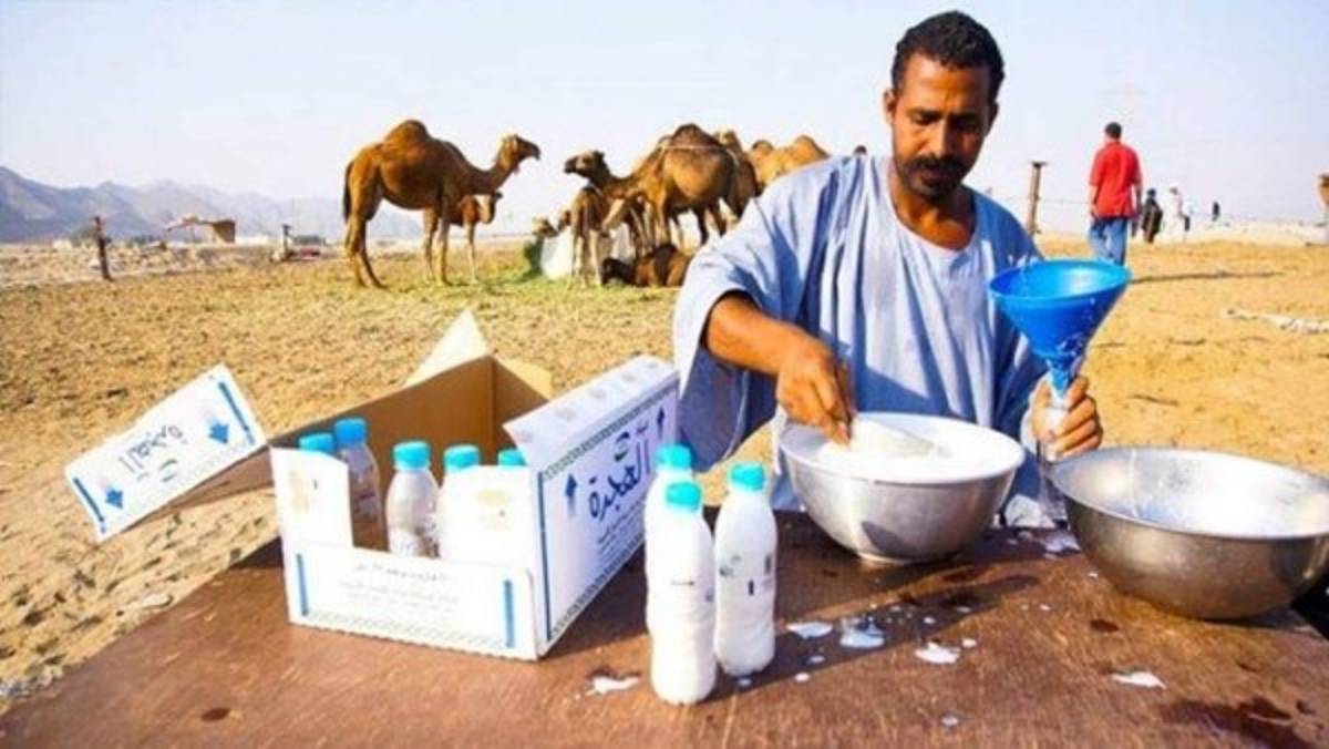 Fieras como mascotas, nueva leche y sin licor: la nueva vida y raras costumbres del país árabe donde jugará James Rodríguez  