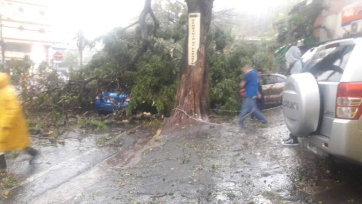 FOTOS: Caos, túneles inundados y destrucción deja fuerte lluvia en Tegucigalpa