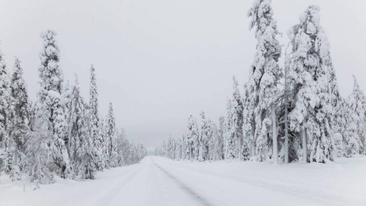 Inició la noche polar en el mundo: No verán la luz del día hasta 2022 ¿por qué sucede este extraño fenómeno?