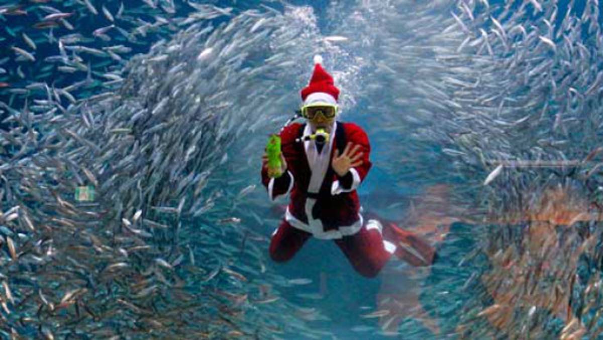 Deporte, música y diversión para celebrar la Navidad.