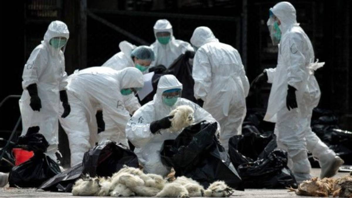 Las pandemias más mortíferas que han azotado a la humanidad a lo largo de la historia