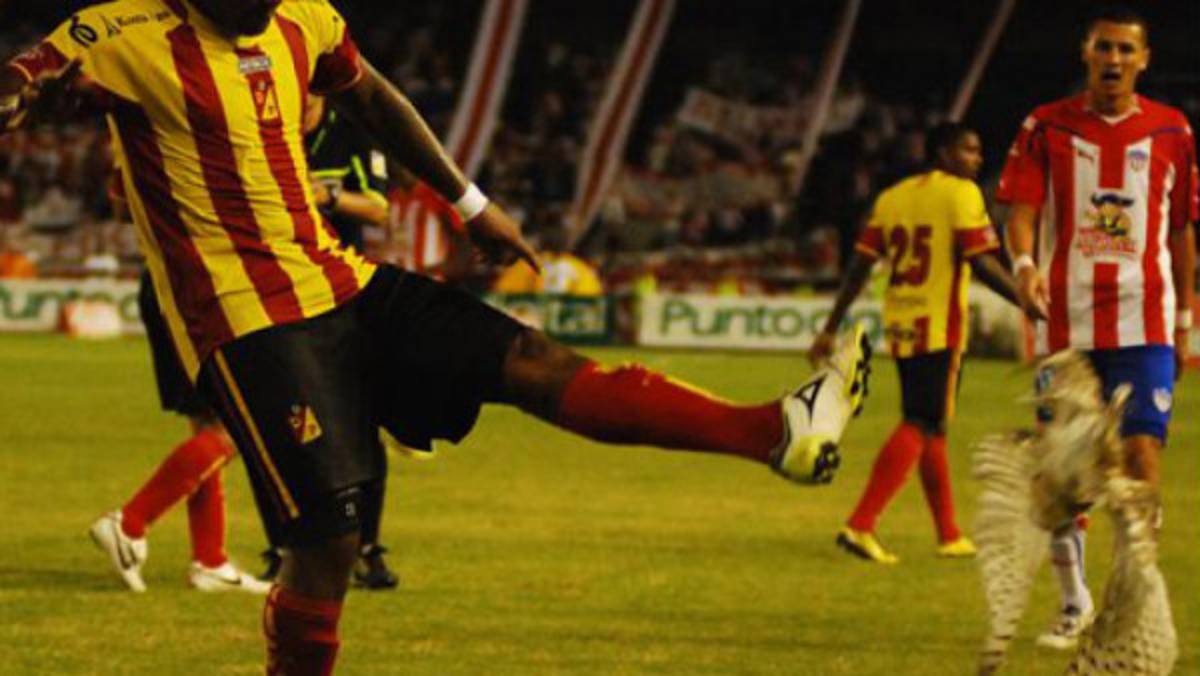 Jugador que pateó una lechuza recibe su castigo