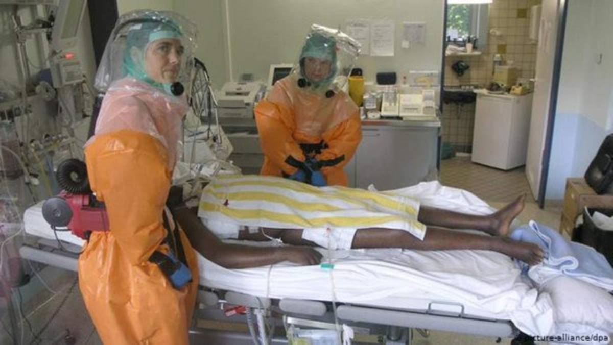 ¡Transmitidos por ratas, monos y aves! Estos son los 10 virus más letales en el mundo