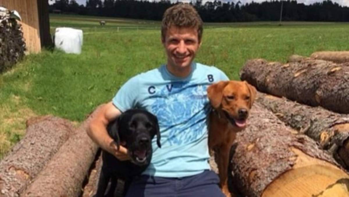 Conocé a las mascotas de los hondureños y otros futbolistas por el mundo