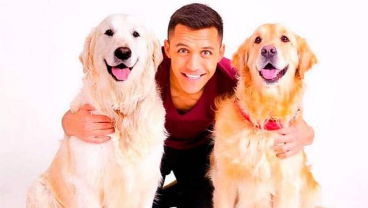 Conocé a las mascotas de los hondureños y otros futbolistas por el mundo