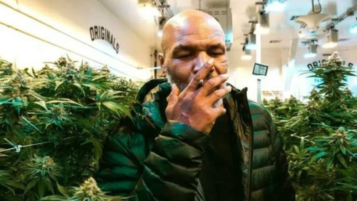 Confesiones de Mike Tyson: la peor droga que consumió, su negocio con la marihuana y sus otras adicciones