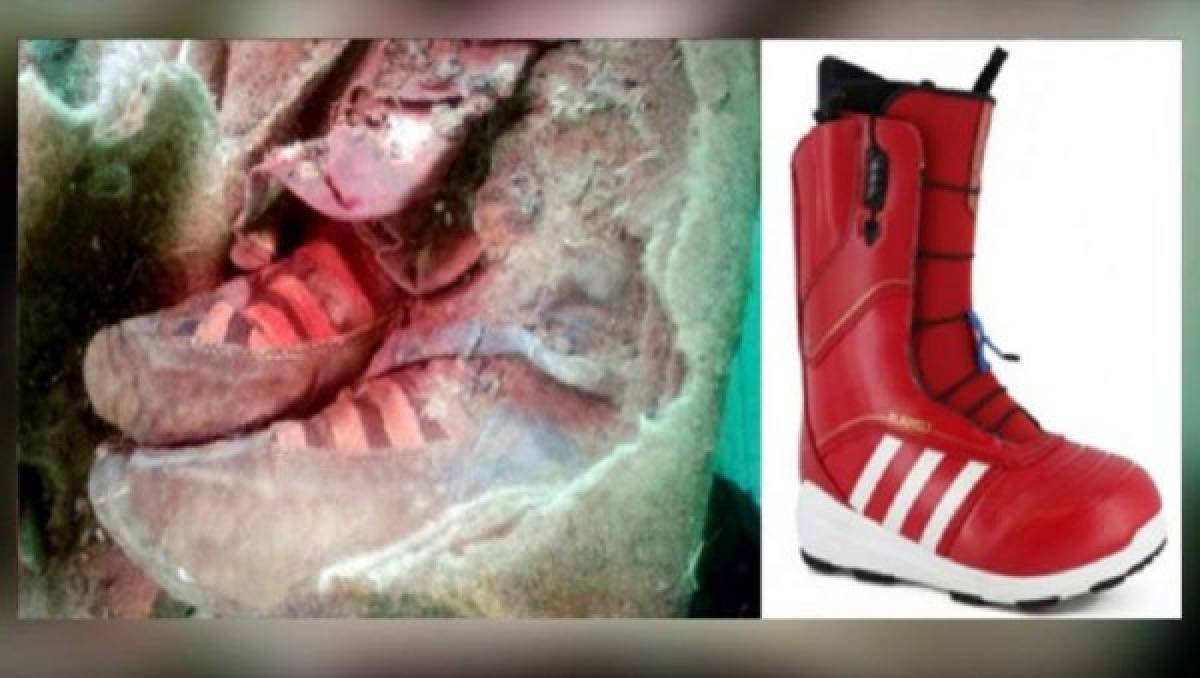 VIDEO: El hallazgo de momia que utilizaba tenis Adidas