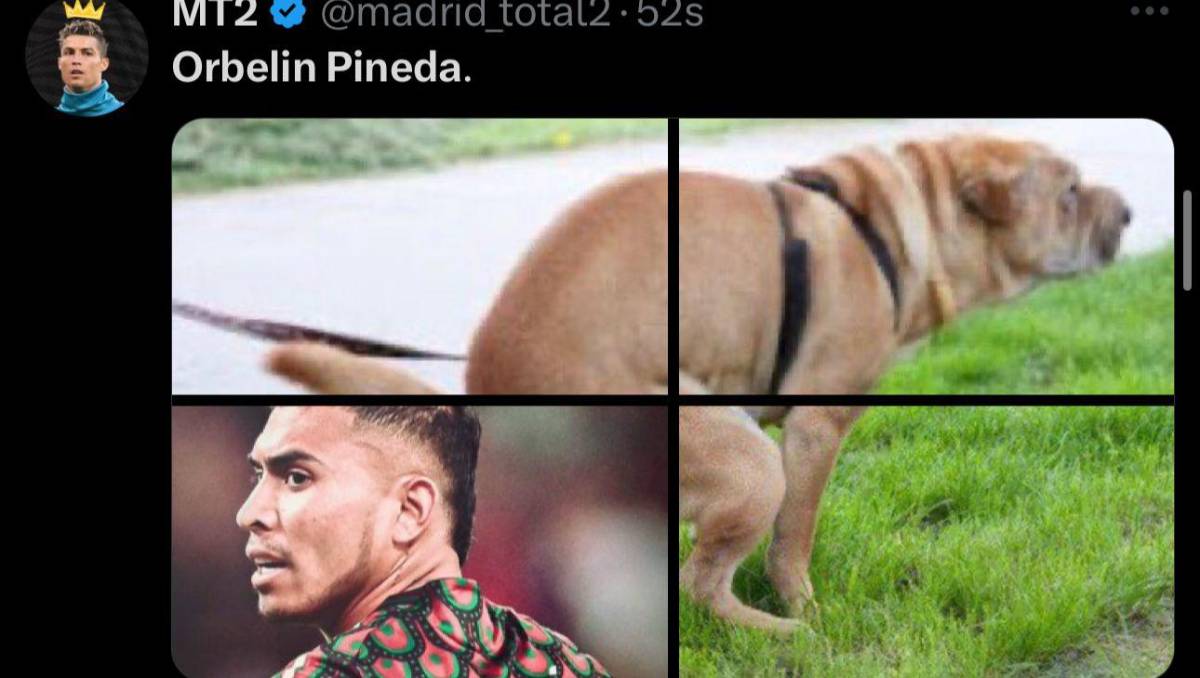 Orbelín Pineda y Barton protagonistas: Los mejores memes que dejó el triunfo de Venezuela ante México en la Copa América