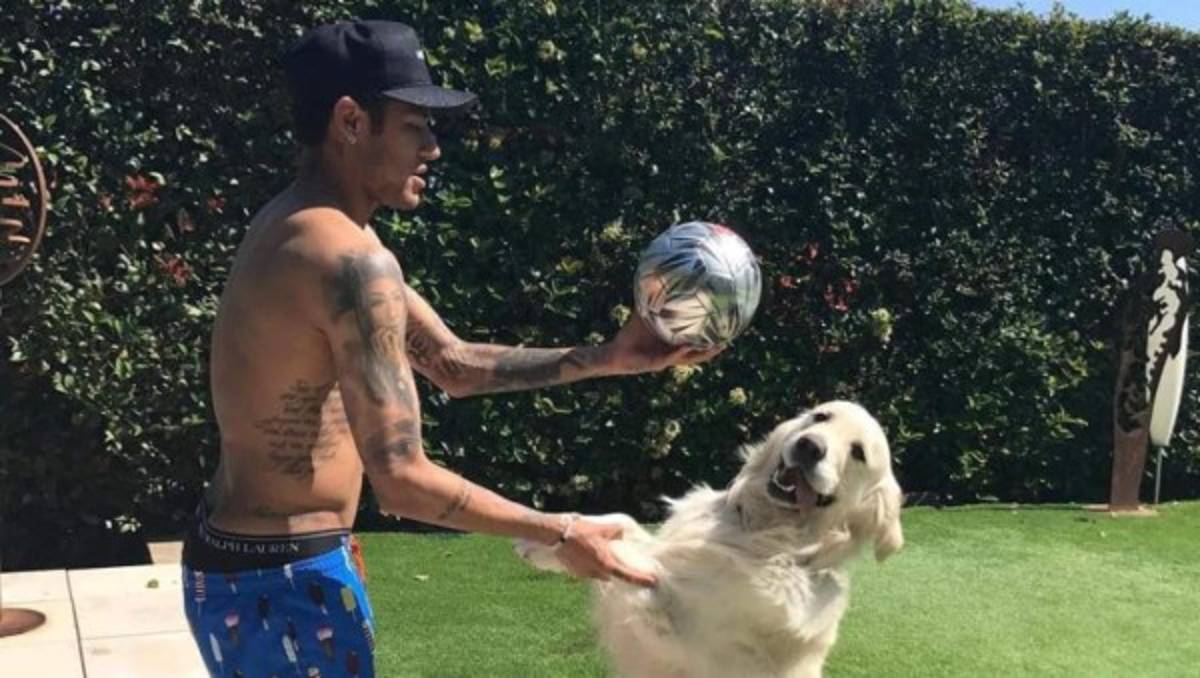 Conocé a las mascotas de los hondureños y otros futbolistas por el mundo