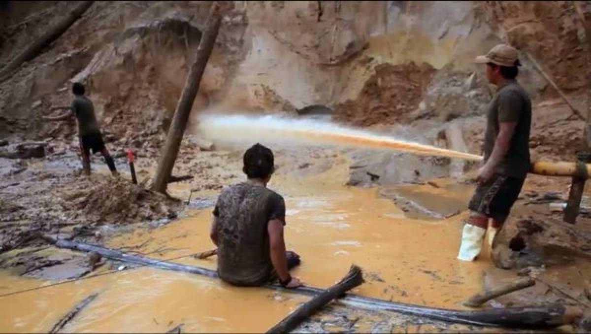 'Ríos de Oro': Las imágenes de la NASA revelan la destrucción de la minería ilegal en la Amazonia