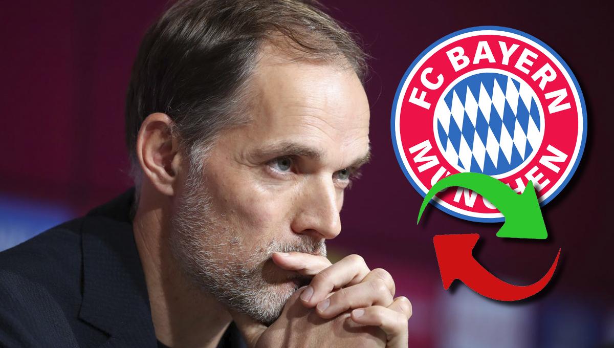 Thomas Tuchel ya manda en el Bayern Múnich: los tres fichajes que puso sobre la mesa y dos son viejos conocidos