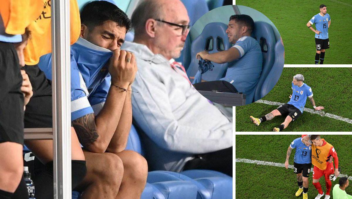 Las duras imágenes de Luis Suárez tras quedar eliminado del Mundial de Qatar 2022: Los otros charrúas hundidos