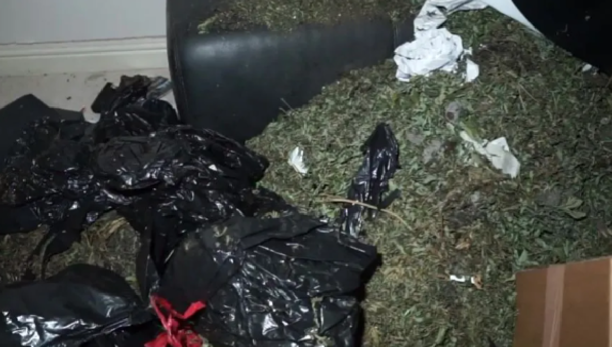 Youtuber se cuela a la mansión de un crack y se lleva tremenda sorpresa: una plantación industrial de marihuana