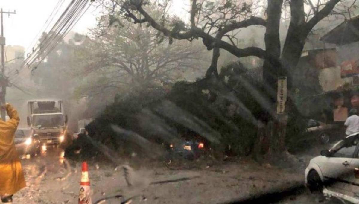 FOTOS: Caos, túneles inundados y destrucción deja fuerte lluvia en Tegucigalpa