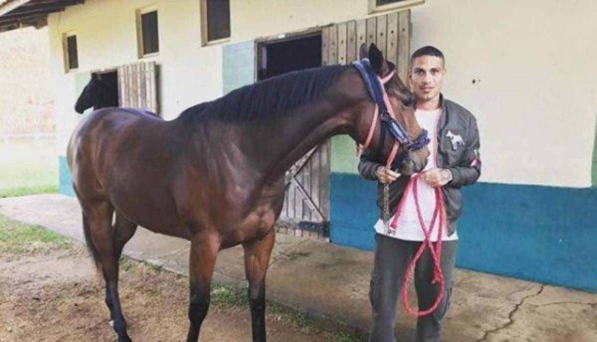 Día Mundial de los Animales: Ellos son el 'mejor amigo' de los grandes futbolistas