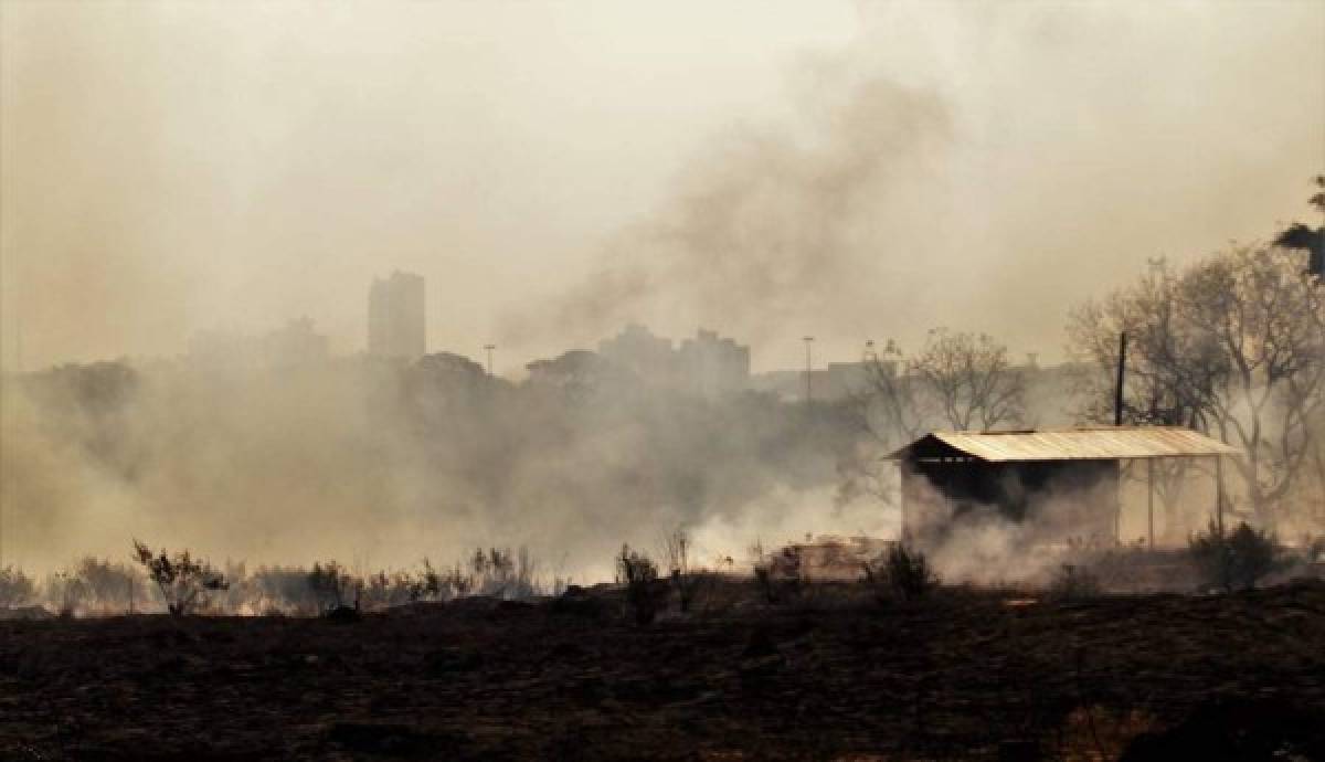 Las imágenes del terrible incendio que devora el Amazonas, el pulmón del mundo