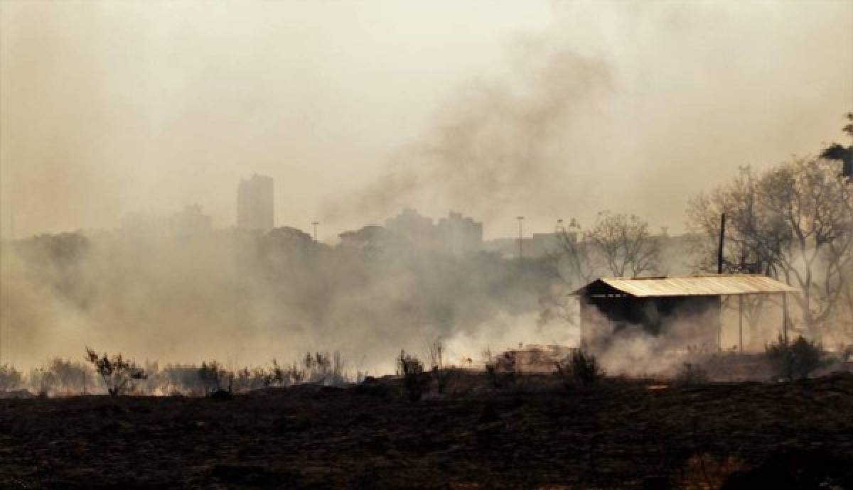 Las imágenes del terrible incendio que devora el Amazonas, el pulmón del mundo