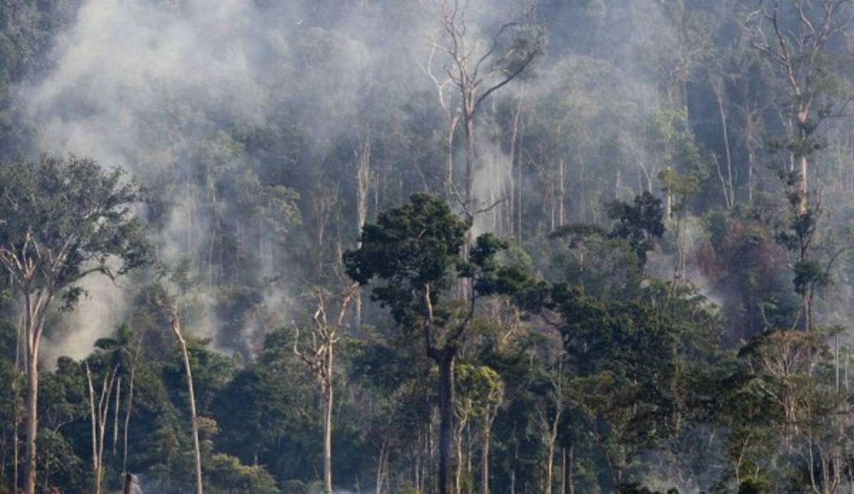 Las imágenes del terrible incendio que devora el Amazonas, el pulmón del mundo