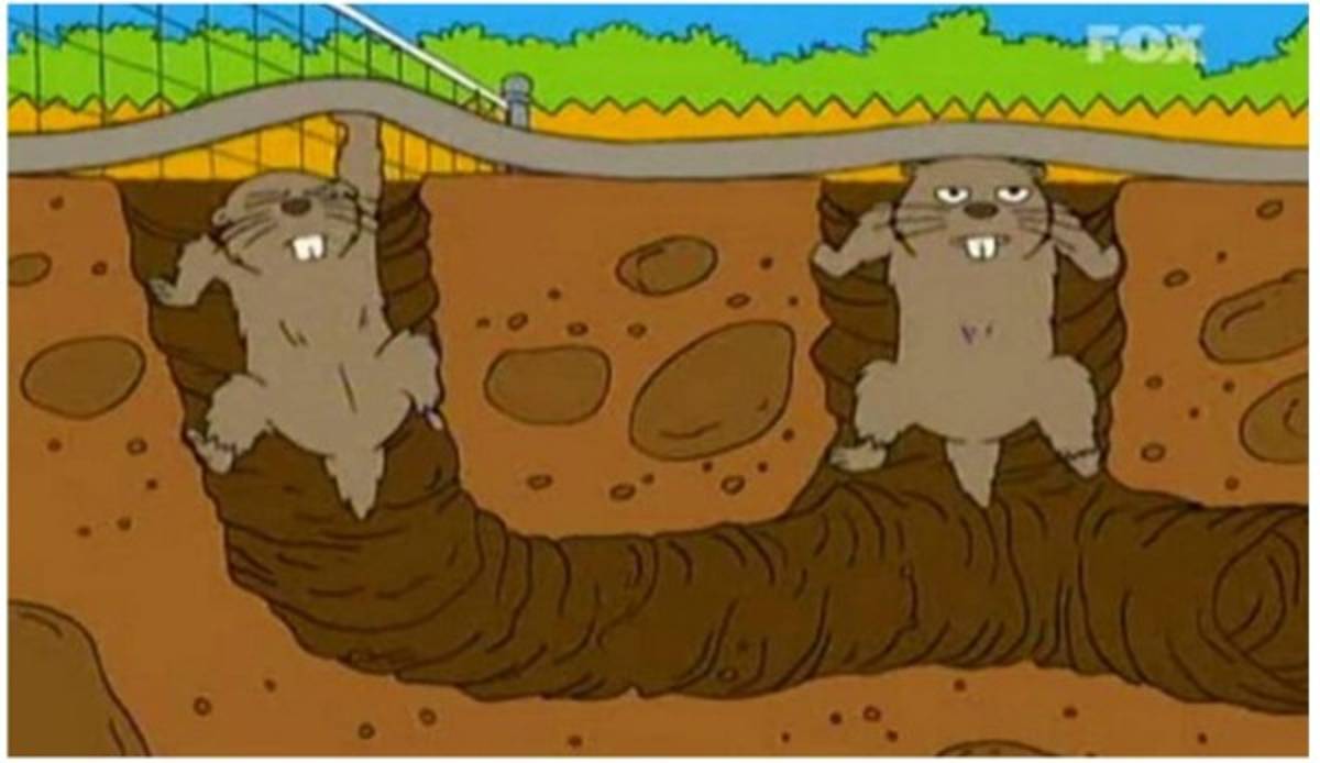 Los memes atacan a Xavi y a la cancha del José Zorrilla tras el Valladolid-Barcelona